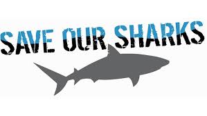 Save our Sharks