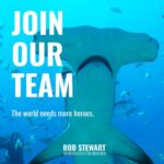 Rob Stewart sharkwater foundation
